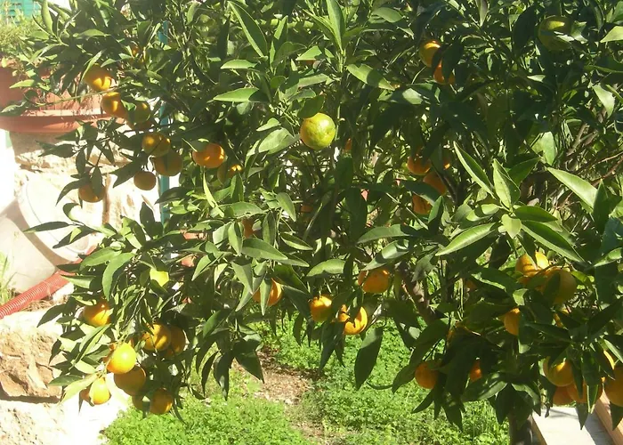 Modica Garden Resort
