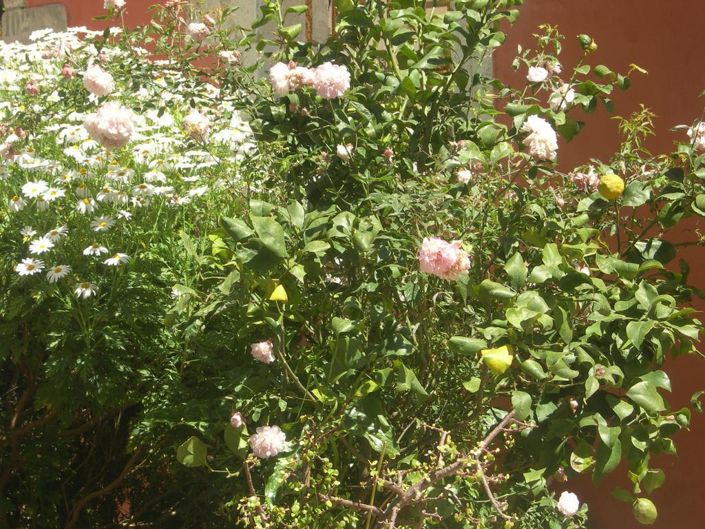 Garden 3*